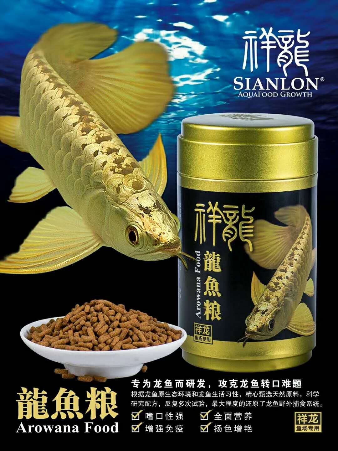 Borgou Golden dragon fish food