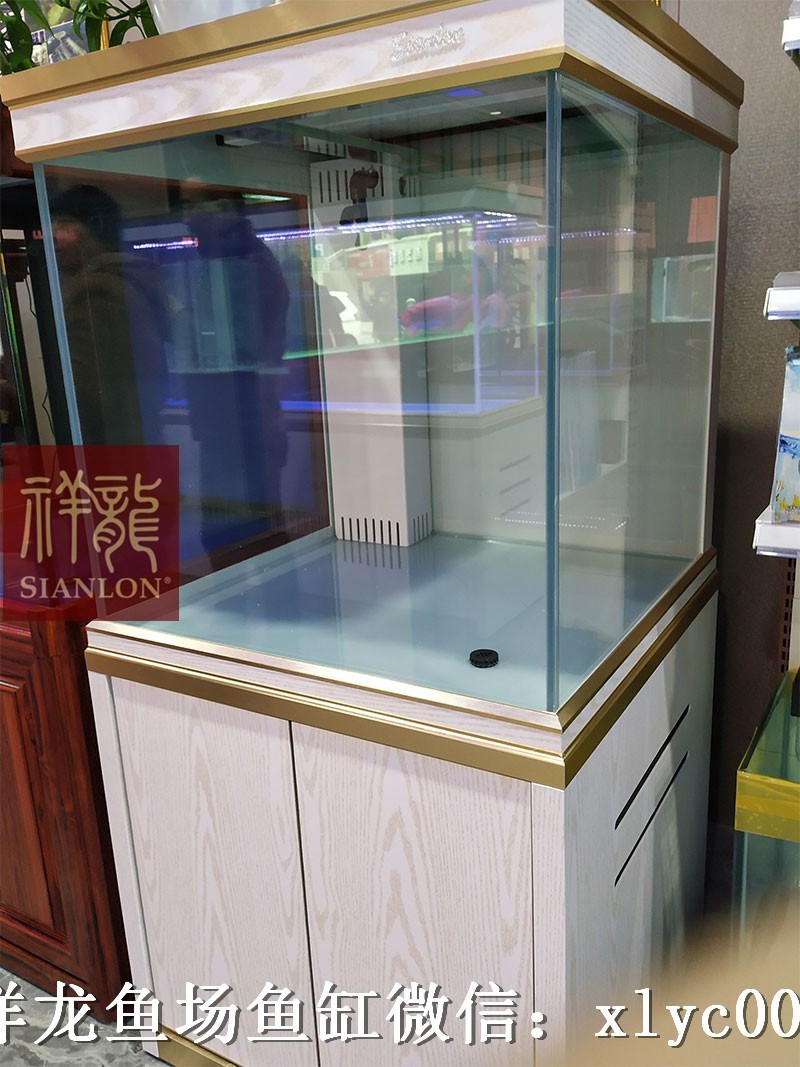 Borgou Xianglong aquarium customization