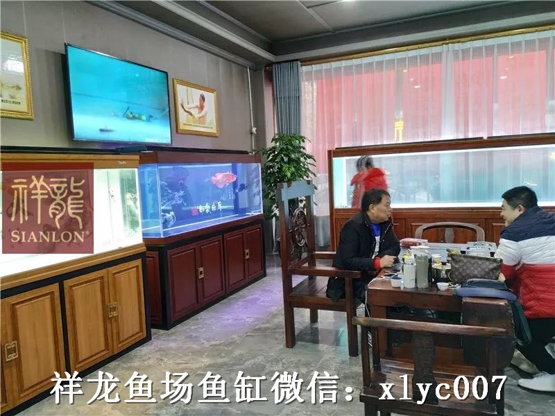 Borgou Xianglong home decoration Aquarium