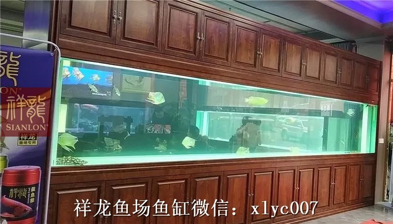 Borgou Large aquarium customized 6M